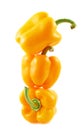 Sweet orange bell pepper isolated Royalty Free Stock Photo