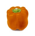 Sweet orange bell pepper isolated. Appetizing fresh vegetable Royalty Free Stock Photo
