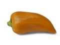 Sweet orange bell pepper isolated. Appetizing fresh vegetable Royalty Free Stock Photo
