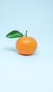 Sweet orange fruit that still has leaves looks refreshing Royalty Free Stock Photo