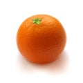 Sweet orange mandarin tangerine vector illustration.