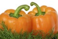 Sweet orange pepper Royalty Free Stock Photo