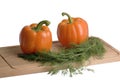Sweet orange pepper and fennel Royalty Free Stock Photo