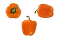 Sweet orange pepper isolated on white background