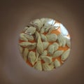 The sweet orange seeds in the circle