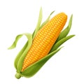 Sweet organic corncob Royalty Free Stock Photo