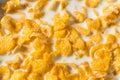 Sweet Organic Frosted Corn Flakes Cereal Royalty Free Stock Photo