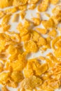 Sweet Organic Frosted Corn Flakes Cereal Royalty Free Stock Photo