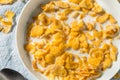 Sweet Organic Frosted Corn Flakes Cereal Royalty Free Stock Photo