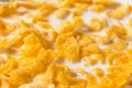 Sweet Organic Frosted Corn Flakes Cereal Royalty Free Stock Photo