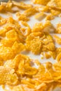 Sweet Organic Frosted Corn Flakes Cereal Royalty Free Stock Photo