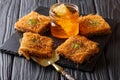Sweet oriental dessert kunafeh with pistachios and fresh honey c Royalty Free Stock Photo