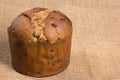 Sweet panettone, typical Italian dessert for Christmas