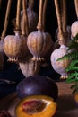 Bunch of dried poppy heads with plums in foreground Royalty Free Stock Photo