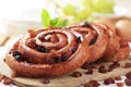 Sweet pastry rolls with raisins Royalty Free Stock Photo