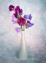 Sweet pea flowers arranged in a vase for artistic textured image. Royalty Free Stock Photo