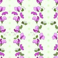 Sweet pea flowers and leaves vertical style seamless vector pattern with green polka dots