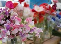 Sweet Pea flowers for sale at a farmers market Royalty Free Stock Photo