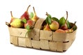 Sweet pears in a basket Royalty Free Stock Photo