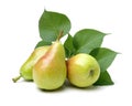 Sweet pears and leaf Royalty Free Stock Photo