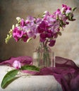 Sweet peas Royalty Free Stock Photo