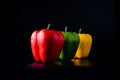 Sweet Pepper or Bell Pepper or Capcicum Royalty Free Stock Photo