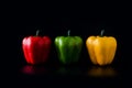 Sweet Pepper or Bell Pepper or Capcicum Royalty Free Stock Photo