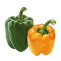 Sweet pepper, paprika Royalty Free Stock Photo