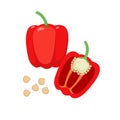 Sweet pepper vector flat illustration. Whole and halved red bell pepper and seeds isolated on white background