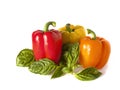 Sweet peppers and basilik on white backgound Royalty Free Stock Photo