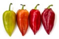 4 sweet peppers isolated on white background. Bell peppers Royalty Free Stock Photo