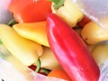 Sweet peppers in a transparent package Royalty Free Stock Photo