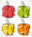 Sweet peppers vegetable illustration set