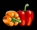 Sweet peppers vegetable illustration