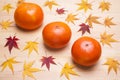 Sweet persimmon fruit