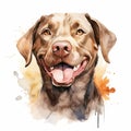 Sweet Pet Art on a White Backdrop Royalty Free Stock Photo