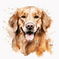 Sweet Pet Art on a White Backdrop Royalty Free Stock Photo