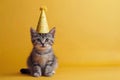 A sweet photo of a feline wearing a yellow birthday hat against a yellow background.