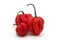 Sweet pimento peppers Royalty Free Stock Photo