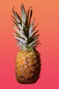 pineapple on a pink background