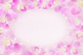 Pink orchid flower frame blooming in soft background with bokeh and glitter light ,copy space, idea for valentine card