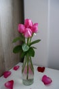 The sweet pink roses in a water bottle vase look gorgeous.