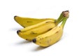 Sweet Plantain Bananas Royalty Free Stock Photo