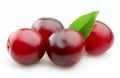 Sweet plums Royalty Free Stock Photo