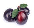 Sweet plums Royalty Free Stock Photo