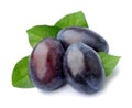Sweet plums isolated Royalty Free Stock Photo