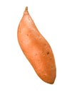 Sweet Potato