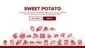 Sweet Potato Batata Landing Header Vector