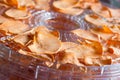 Sweet potato chips dehydrating Royalty Free Stock Photo