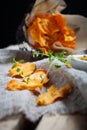 Sweet potato chips Royalty Free Stock Photo